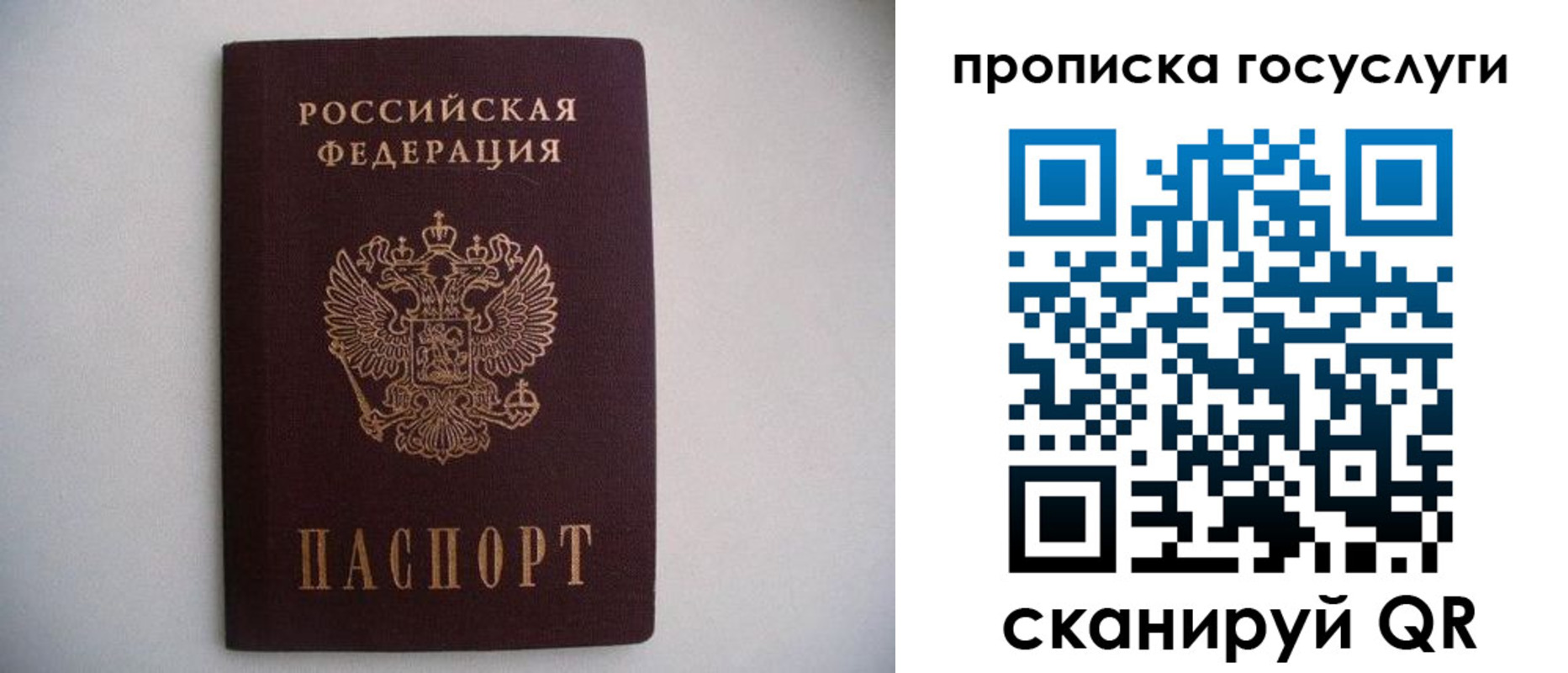 прописка в квартире в Рославле